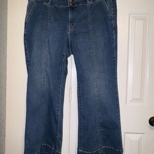 Lane Bryant Signature High-Rise Flare Jeans